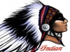 design for Indian Motorcycle tank