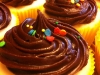 sprinkled chocolate cupcakes