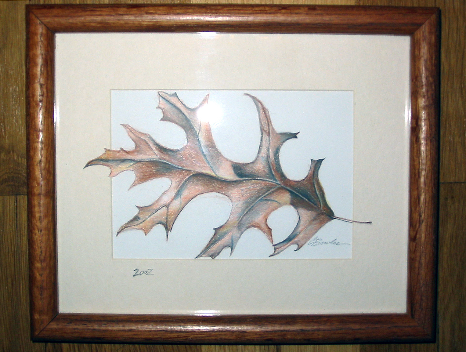 leaf - dimensional colored pencil drawing