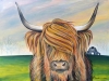 Highland Cow 30" x 40" - Acrylic on Canvas 2024