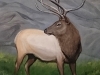 Colorado Elk - Acrylic 2014