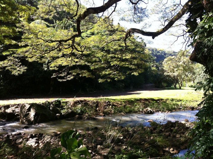 Waimea Valley Park - Hawaii
