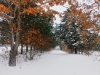 Driveway in Winter- Cuba, MO 2022