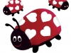 Plush Ladybug Design