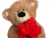 Plush Bear with Roses 2007