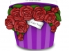 Roses Flowerpot