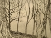 Trees - Print from metal acid etching